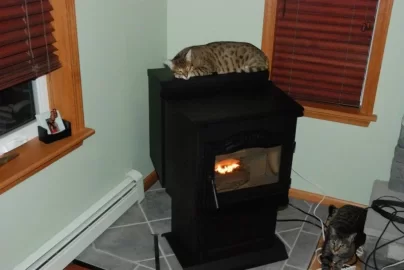 [Hearth.com] pellet stove pets