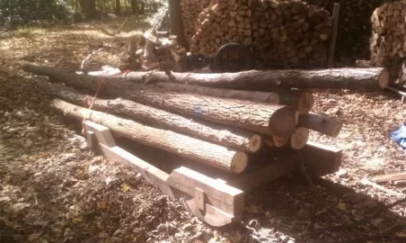 [Hearth.com] Hauling wood up ravine