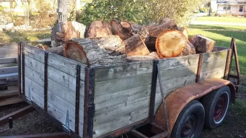 [Hearth.com] Trimming up the hedge row at work...