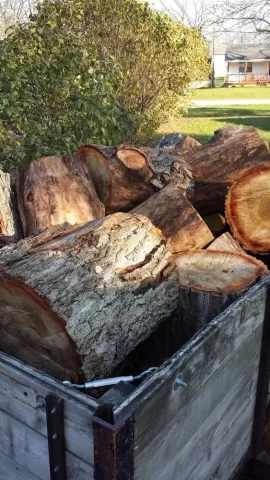 [Hearth.com] Trimming up the hedge row at work...