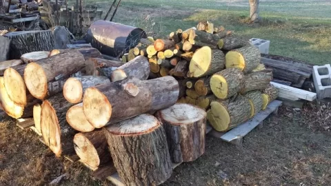 [Hearth.com] Trimming up the hedge row at work...