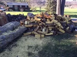 [Hearth.com] First Osage Orange score!