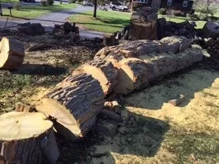 [Hearth.com] First Osage Orange score!