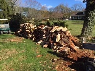 [Hearth.com] First Osage Orange score!