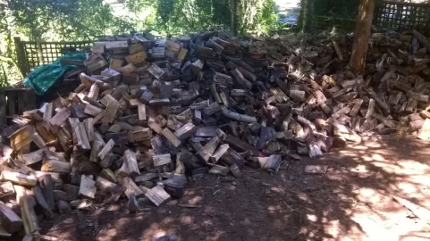 [Hearth.com] Moving house - had to move a lot of firewood.