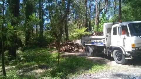 [Hearth.com] Moving house - had to move a lot of firewood.