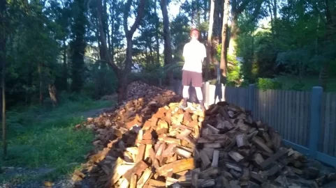 [Hearth.com] Moving house - had to move a lot of firewood.