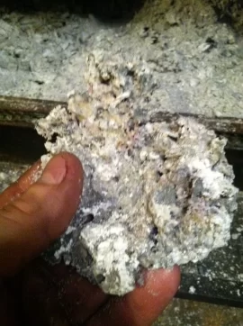 [Hearth.com] Coral/glass like deposits in Timberline ash