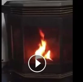 [Hearth.com] OMG I am really starting to hate my Austroflamm Pellet Stove.