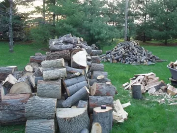 [Hearth.com] Wood pile progress pictures(Update Pictures 5/20)