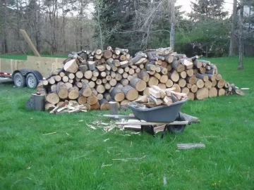 [Hearth.com] Wood pile progress pictures(Update Pictures 5/20)