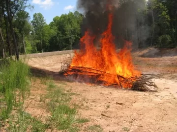 [Hearth.com] How long will soft wood last uncovered