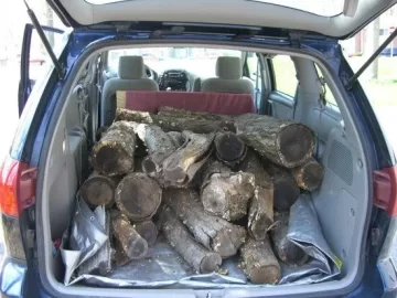 [Hearth.com] Hauling logs in a minivan... ?