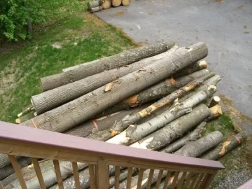 [Hearth.com] Pics!  My new saw and the pile of logs to test it on...