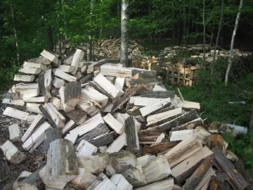 [Hearth.com] Need some help ID'ing these trees - maple and poplar?