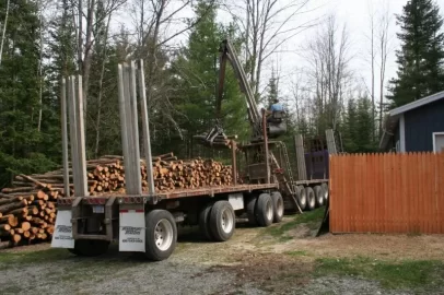 [Hearth.com] Log load delivery