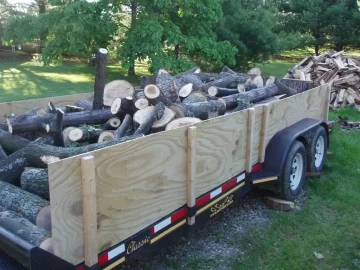 [Hearth.com] Possible large maple score!(update, almost done splitting!)