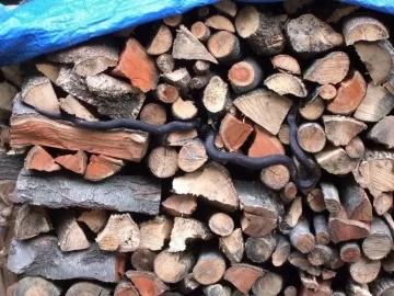 [Hearth.com] Guarding My Woodpile