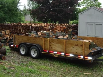 [Hearth.com] Possible large maple score!(update, almost done splitting!)