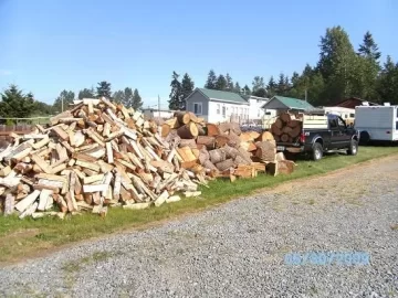 [Hearth.com] Cutting 4' logs