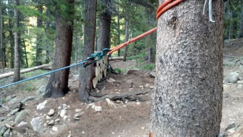 [Hearth.com] Winch to pull logs (Size?)