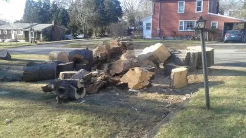 [Hearth.com] Official Connecticut Firewood Thread