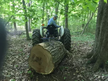 [Hearth.com] This is the biggest I have ever cut.