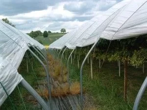 [Hearth.com] Experimental passive solar wood kilns