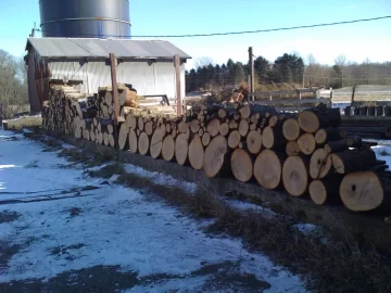 [Hearth.com] My firewood processing area and next season stack.