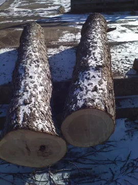 [Hearth.com] My firewood processing area and next season stack.