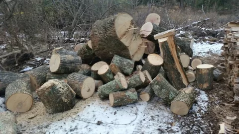 [Hearth.com] Free wood delivered to my yard