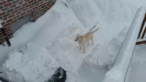 [Hearth.com] Preparing for a big storm here