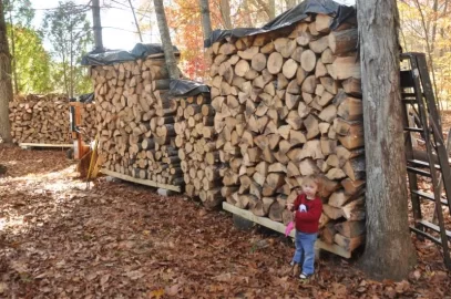 [Hearth.com] How to season wood correctly.