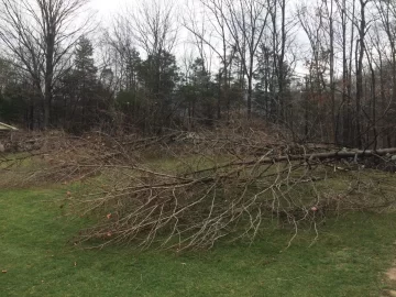 [Hearth.com] Cleaning up small tree's this winter