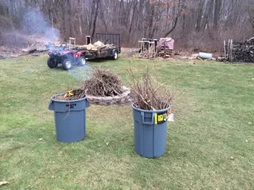 [Hearth.com] Cleaning up small tree's this winter