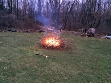 [Hearth.com] Cleaning up small tree's this winter