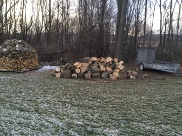 [Hearth.com] A couple nice free wood loads