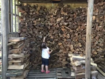 [Hearth.com] Cleaning up tops after a logging job