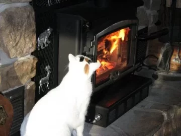 [Hearth.com] What's in front of your stove on this cold weekend?