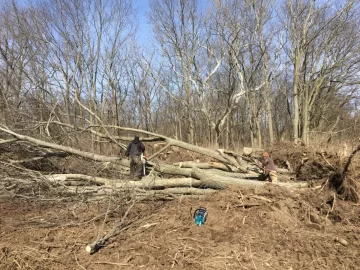 [Hearth.com] Fence Row Clearing