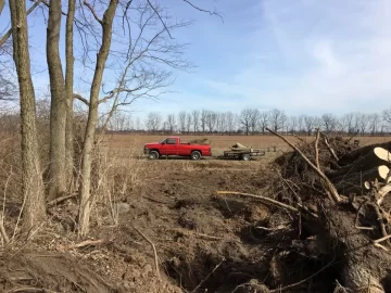 [Hearth.com] Fence Row Clearing