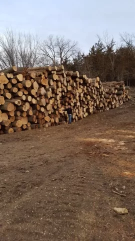 [Hearth.com] Don't see this everyday in NE Iowa!