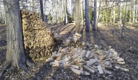 [Hearth.com] Wood shed near miss