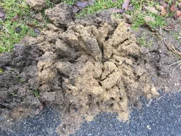 [Hearth.com] Mystery ground formation appeared over night next to driveway! What is it?