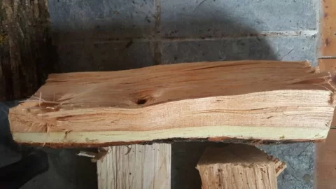 [Hearth.com] Wood identification