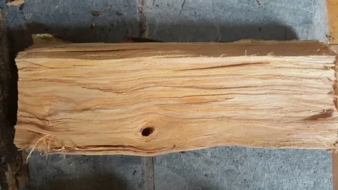 [Hearth.com] Wood identification