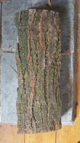 [Hearth.com] Wood identification