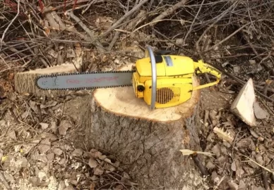 [Hearth.com] Old pre EPA chainsaws