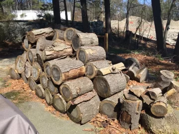 [Hearth.com] Wood taken - Metrowest Boston - Free pine and oak rounds, over a cord total