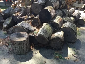 [Hearth.com] Wood taken - Metrowest Boston - Free pine and oak rounds, over a cord total